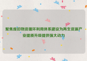 聚焦废旧物资循环利用体系建设为再生资源产业提质升级提供强大动力